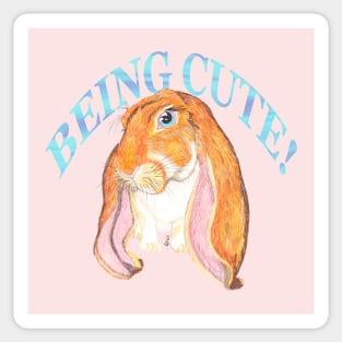 ENGLISH LOP BEING CUTE BLUE Sticker